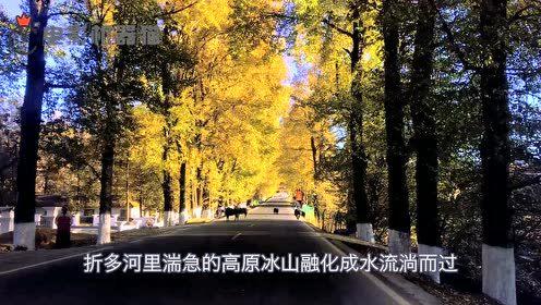 娱乐吃瓜君黄山