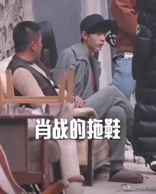 娱乐圈吃瓜大队集合视频,揭秘明星幕后故事